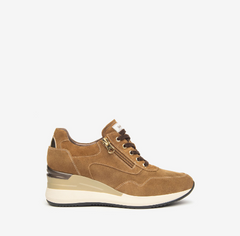 Brindisi Camel Trainers 